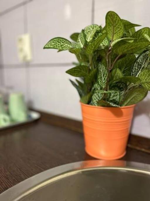 A13 Parliament Sunflower Cozy Apartment Budapeşte Dış mekan fotoğraf